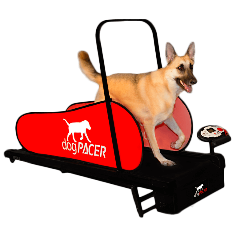 Hvorfor dogpacer?