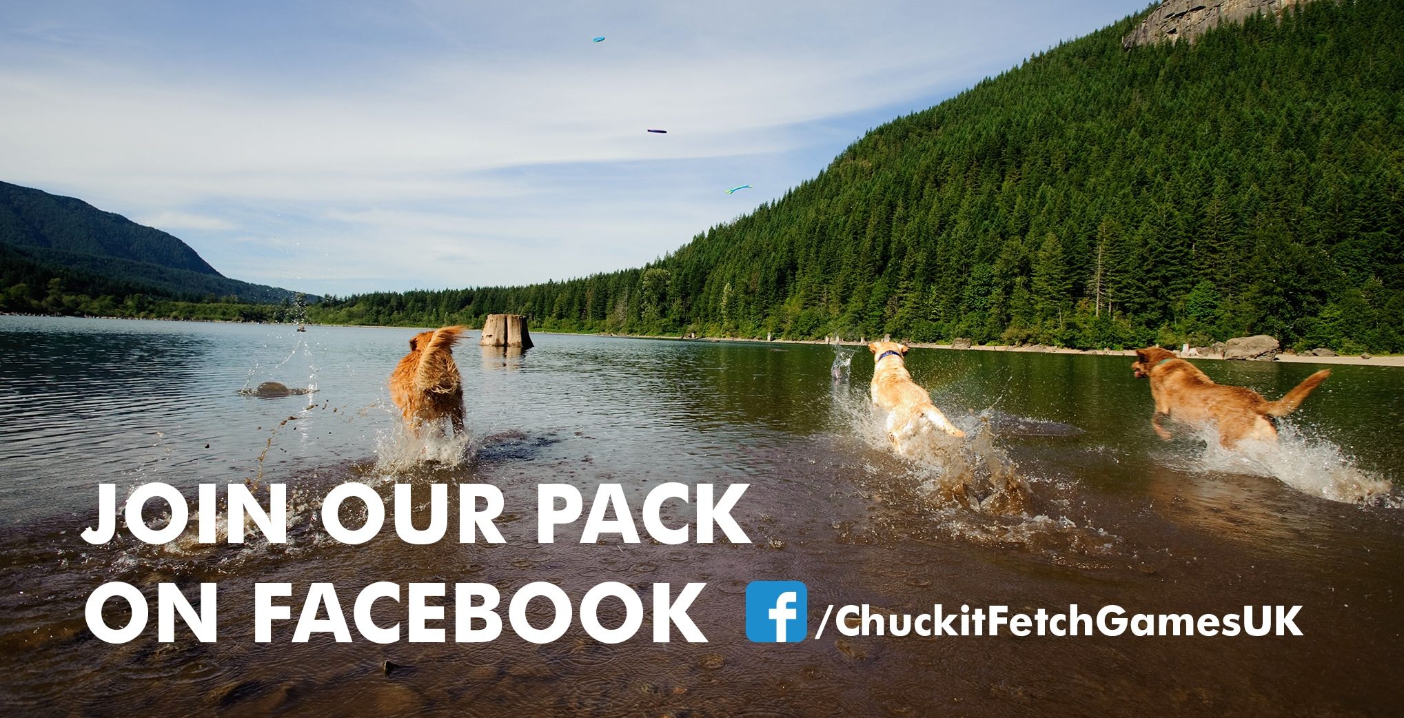 Chuckit! Laget for å tåle hund​