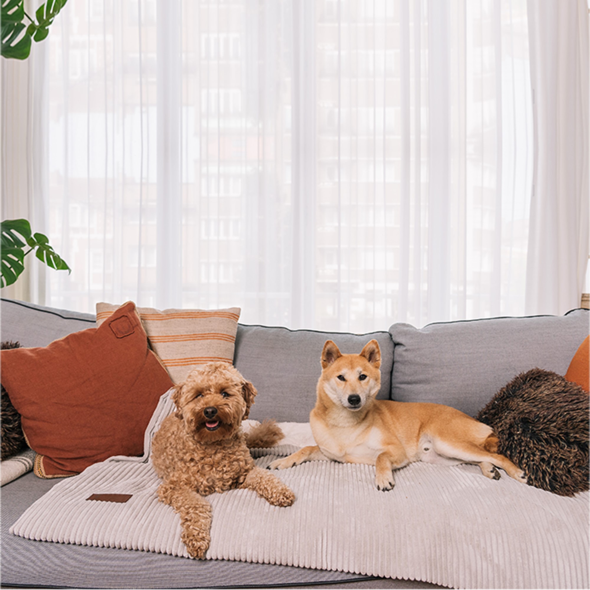 Fantail Homey Pale Grey underlagsteppe