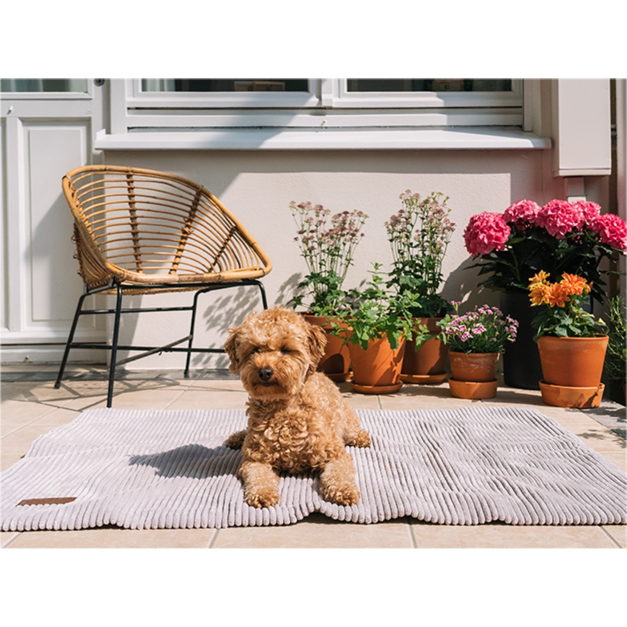 Fantail Homey Pale Grey underlagsteppe