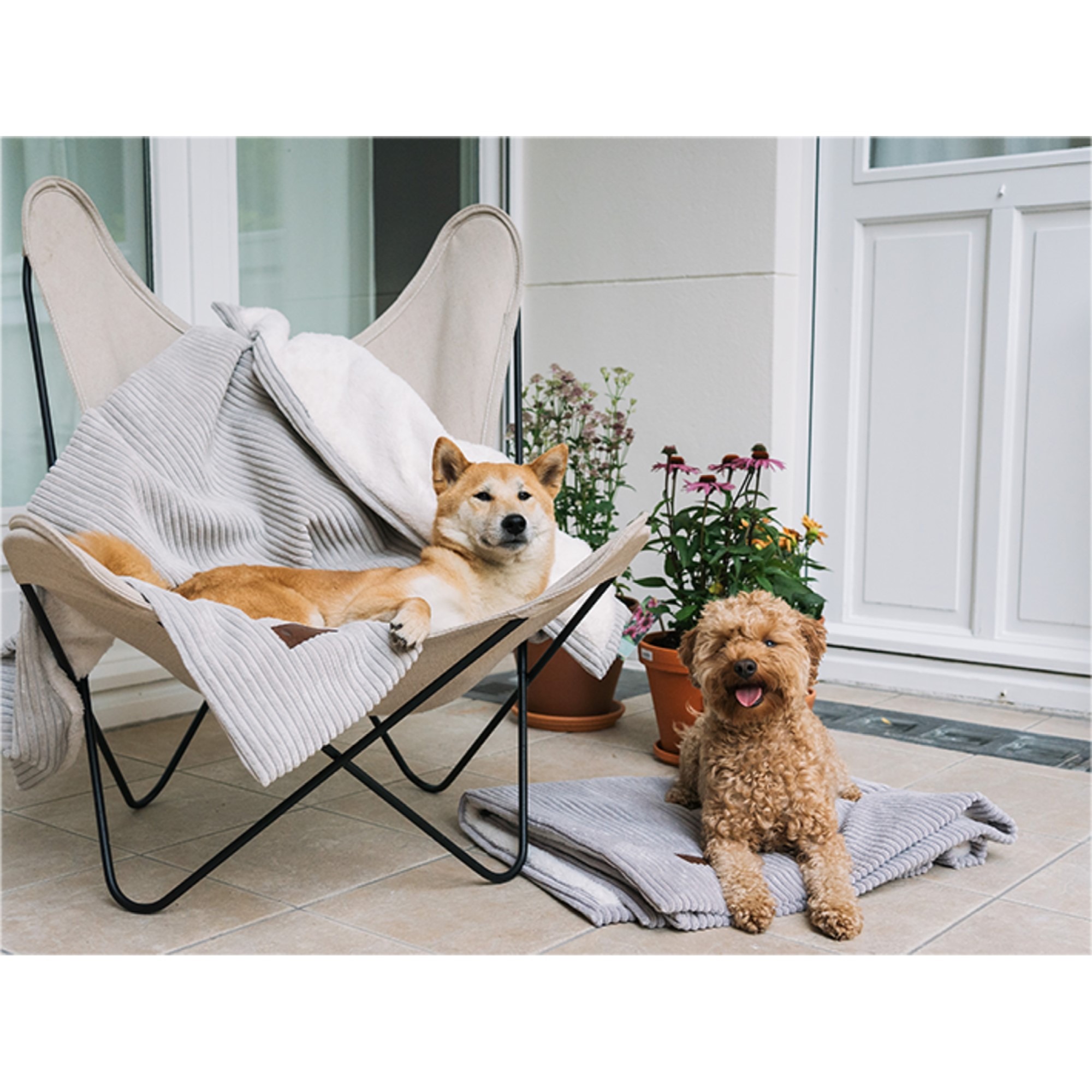 Fantail Homey Pale Grey underlagsteppe