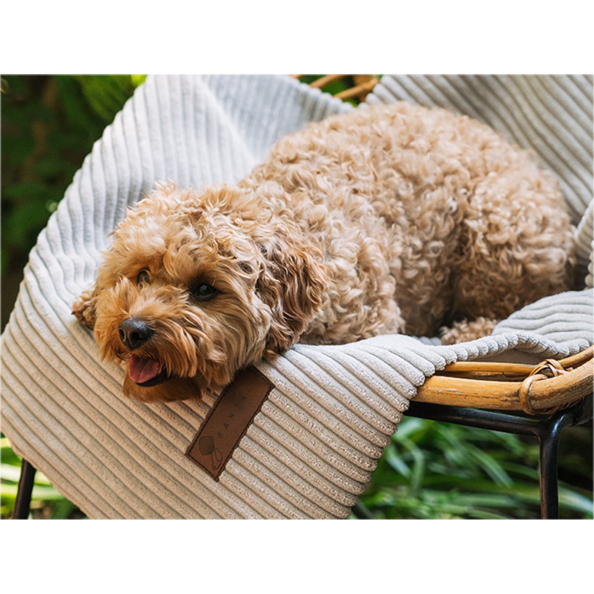 Fantail Homey Pale Grey underlagsteppe