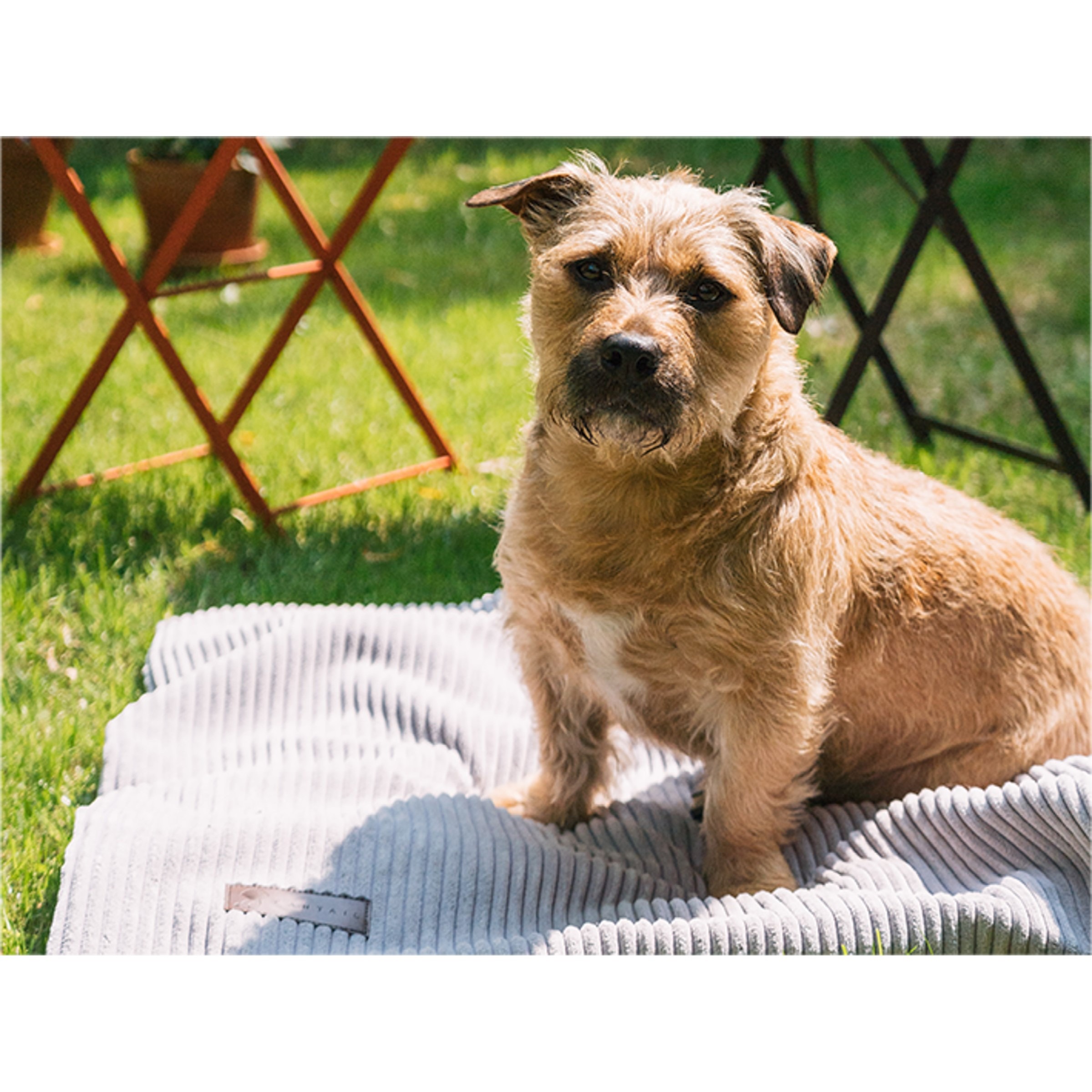 Fantail Homey Pale Grey underlagsteppe