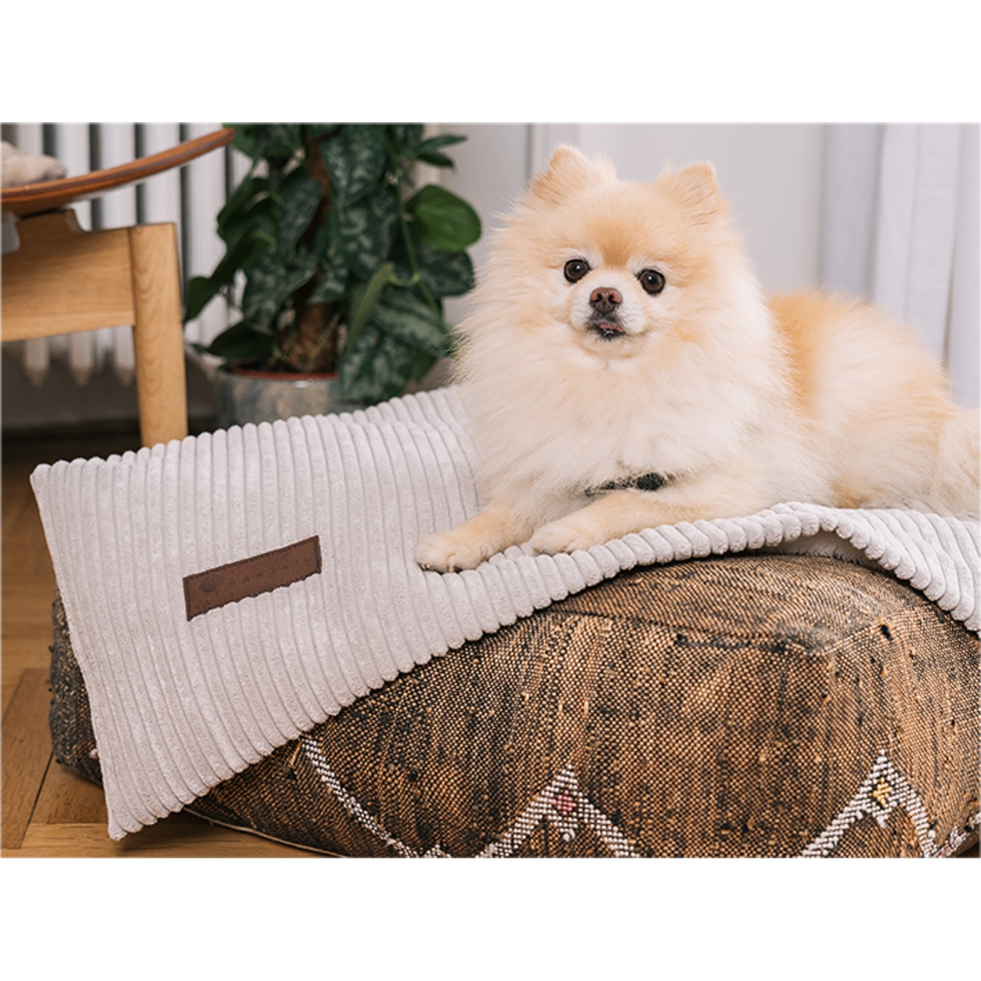 Fantail Homey Pale Grey underlagsteppe