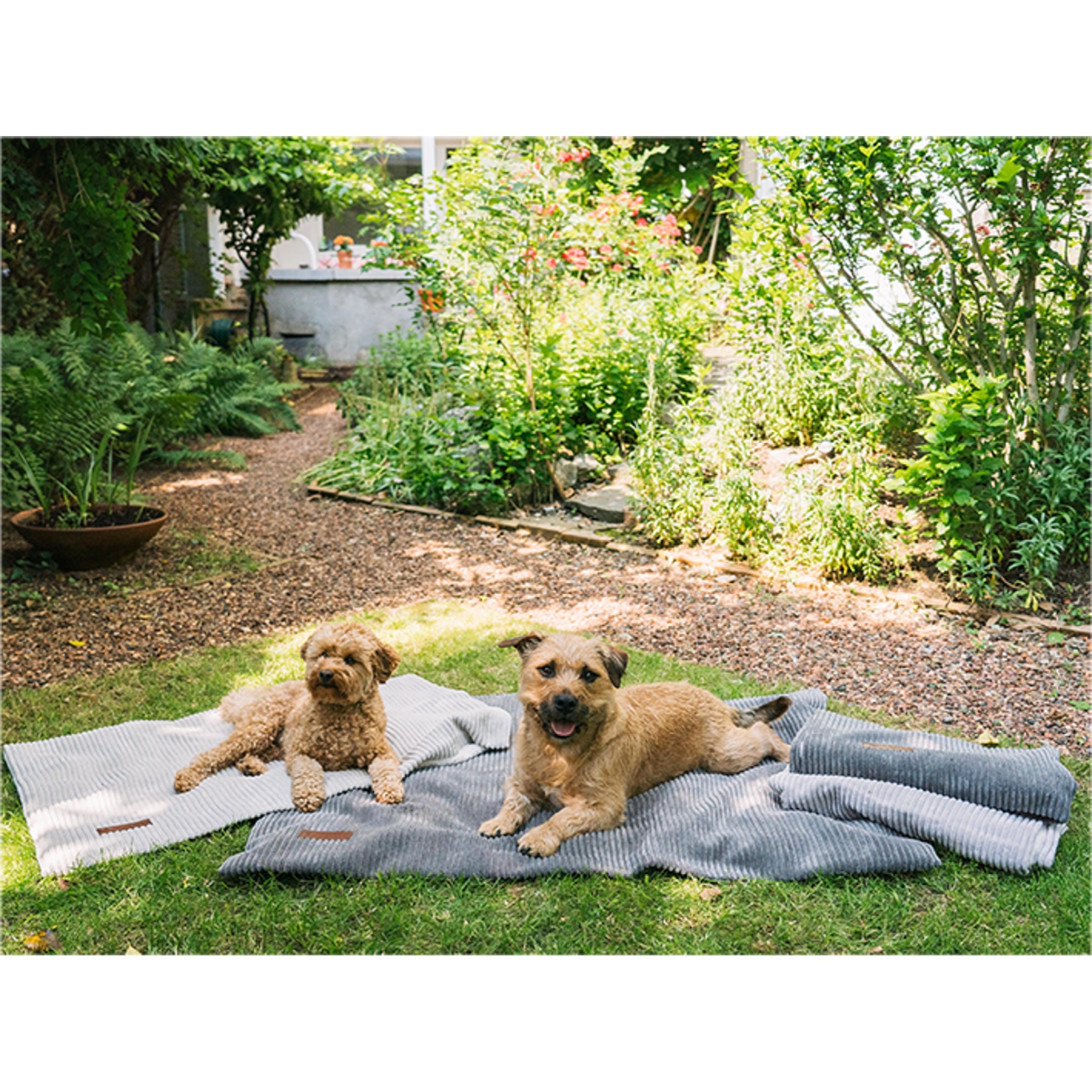 Fantail Homey Pale Grey underlagsteppe