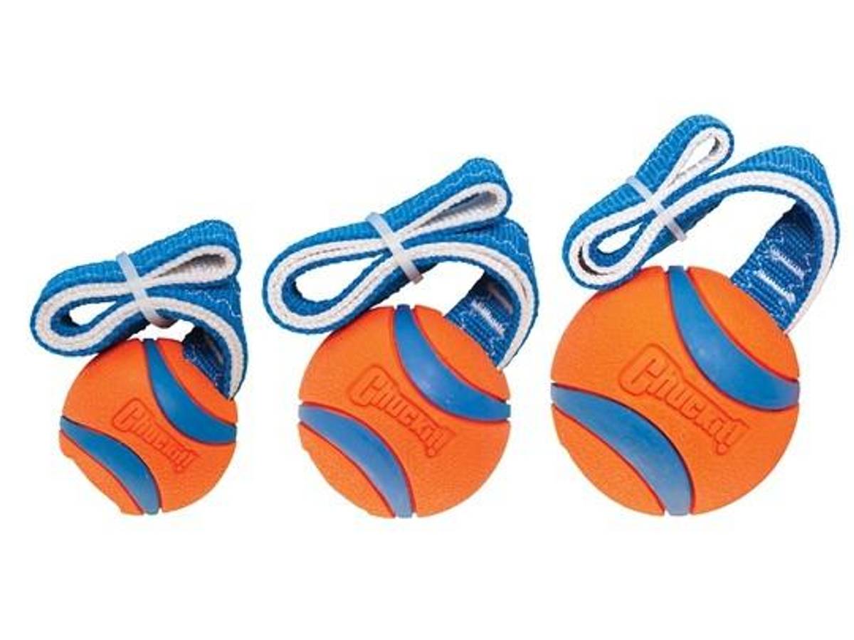 Chuckit! Laget for å tåle hund​