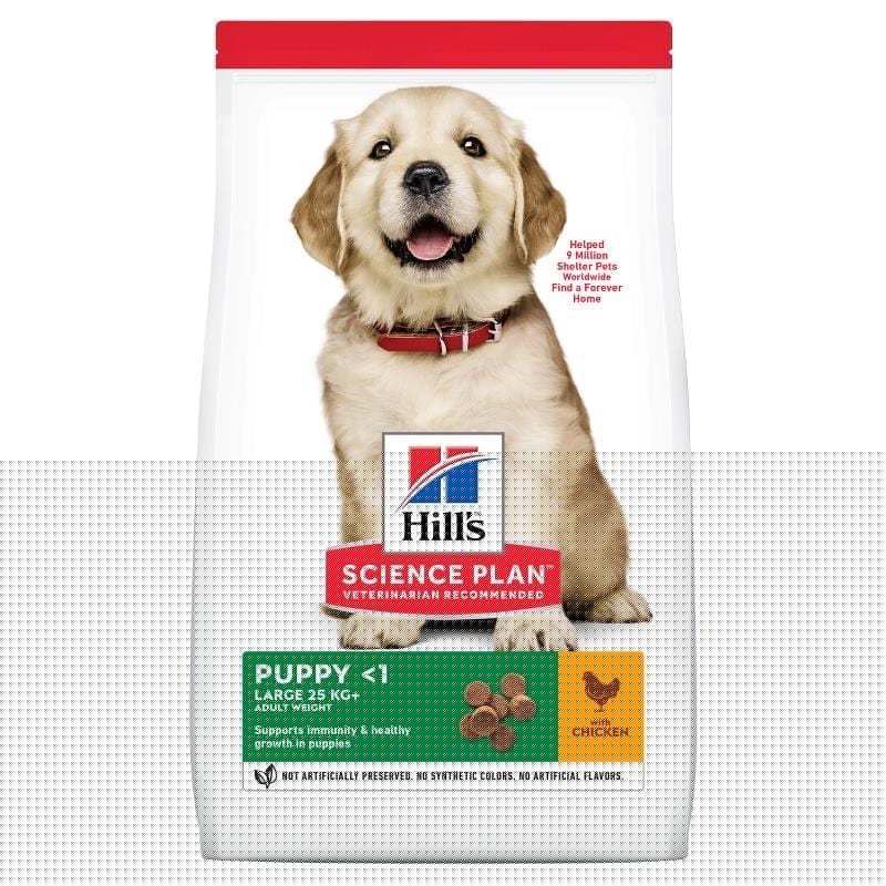 Hill`s Large Breed Chicken 12kg