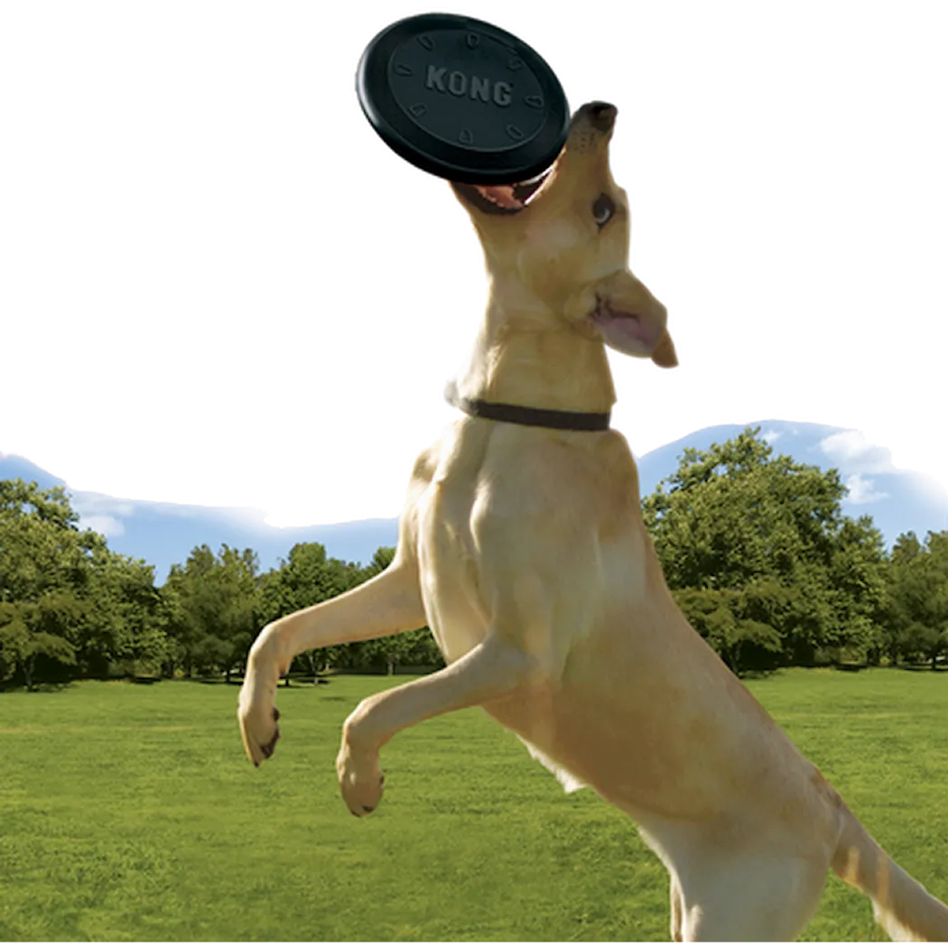 Kong Extreme Frisbee