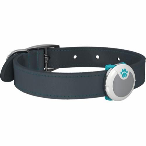 Animo Activity and Behaviour Monitor - Sure Petcare Aktivitetsmåler