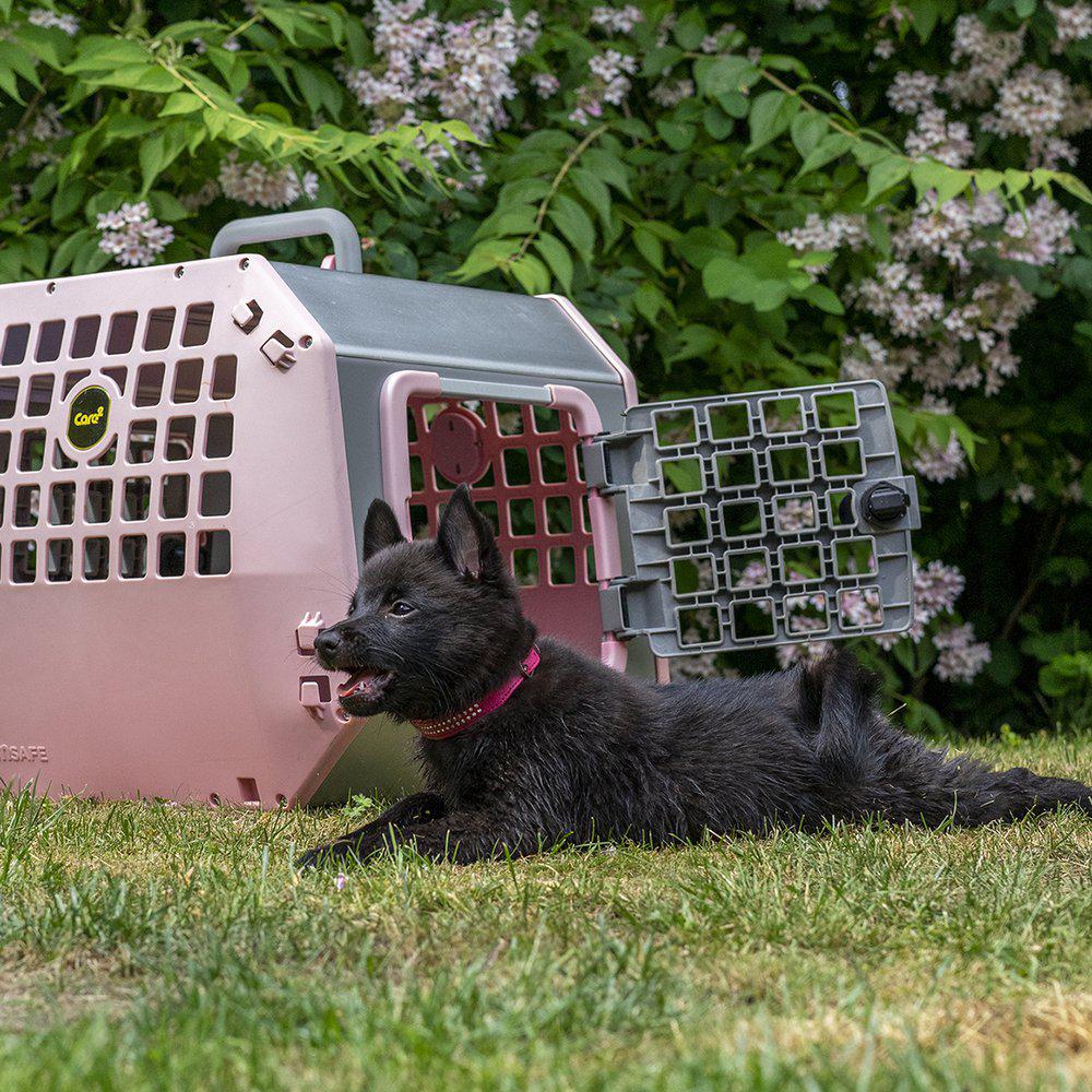 Mim Care2 Hundebur Transport Bilsetebur