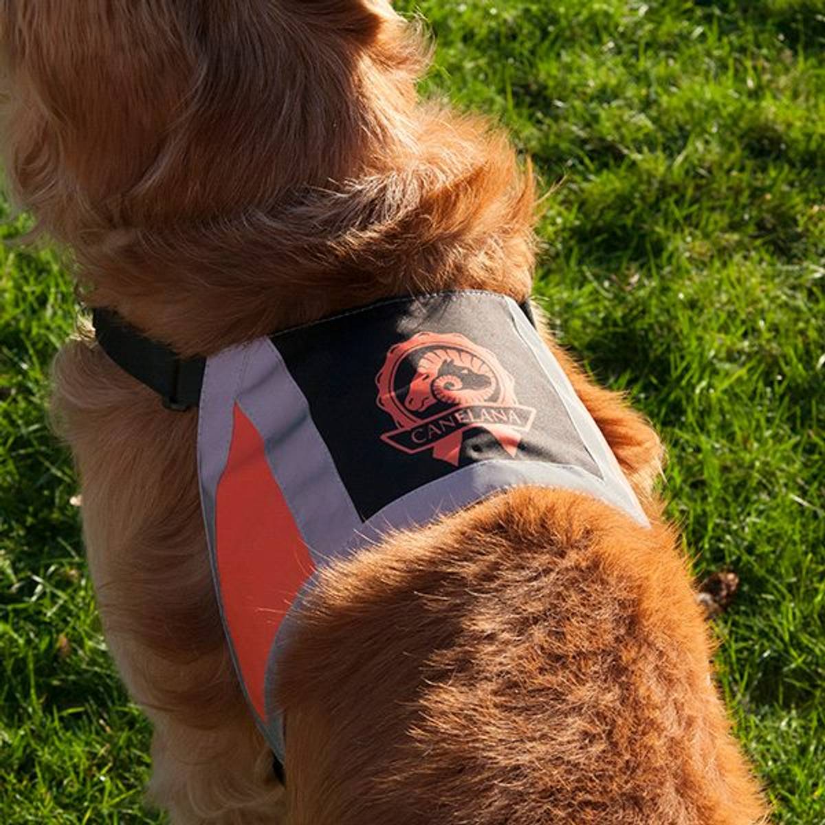 Canelana Refleksdekken