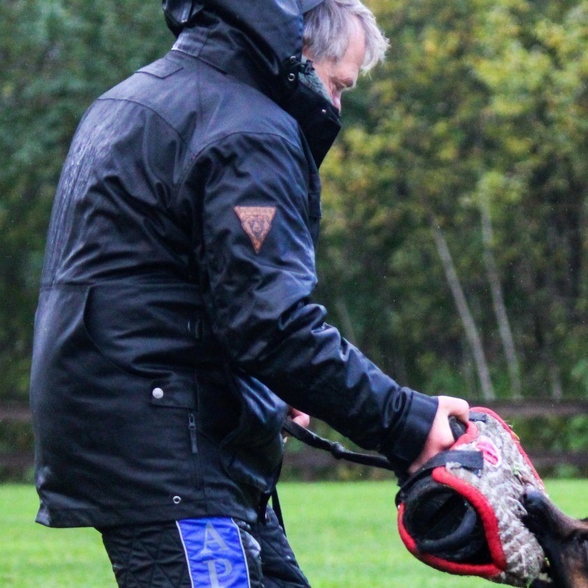 Dogsome Second Element Vinterjakke