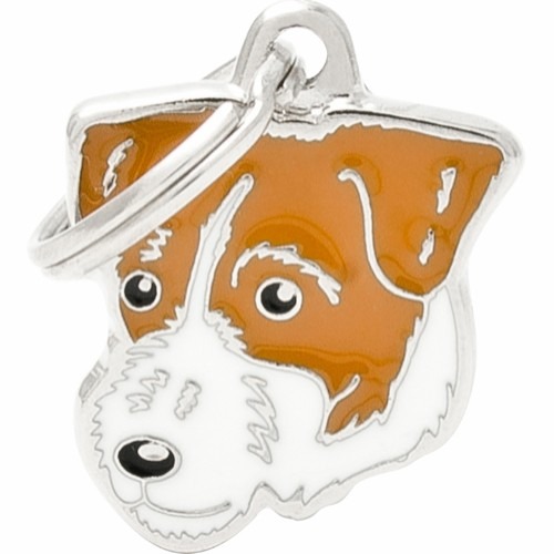 Myfamily Jack Russell terrier