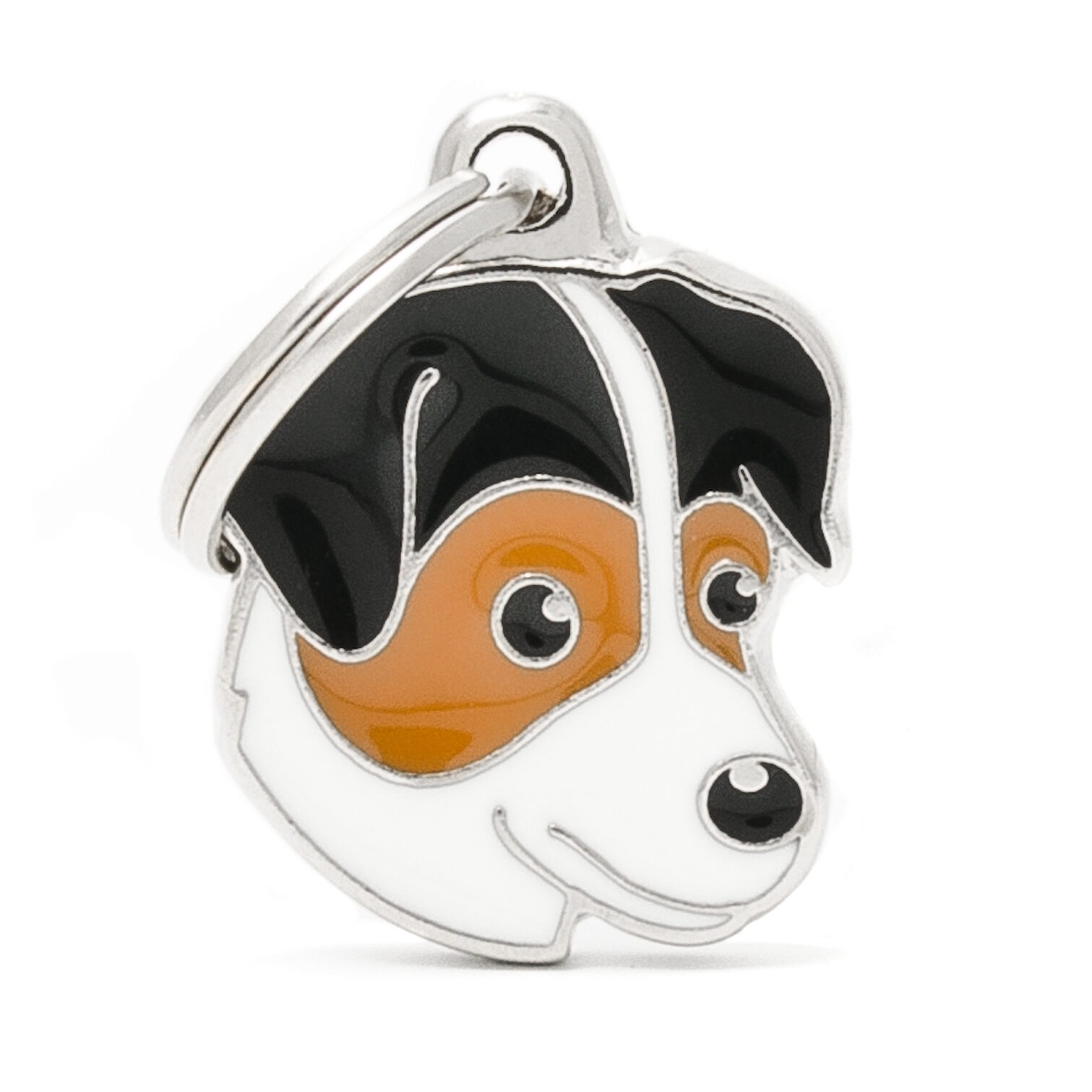 Myfamily Jack Russell terrier