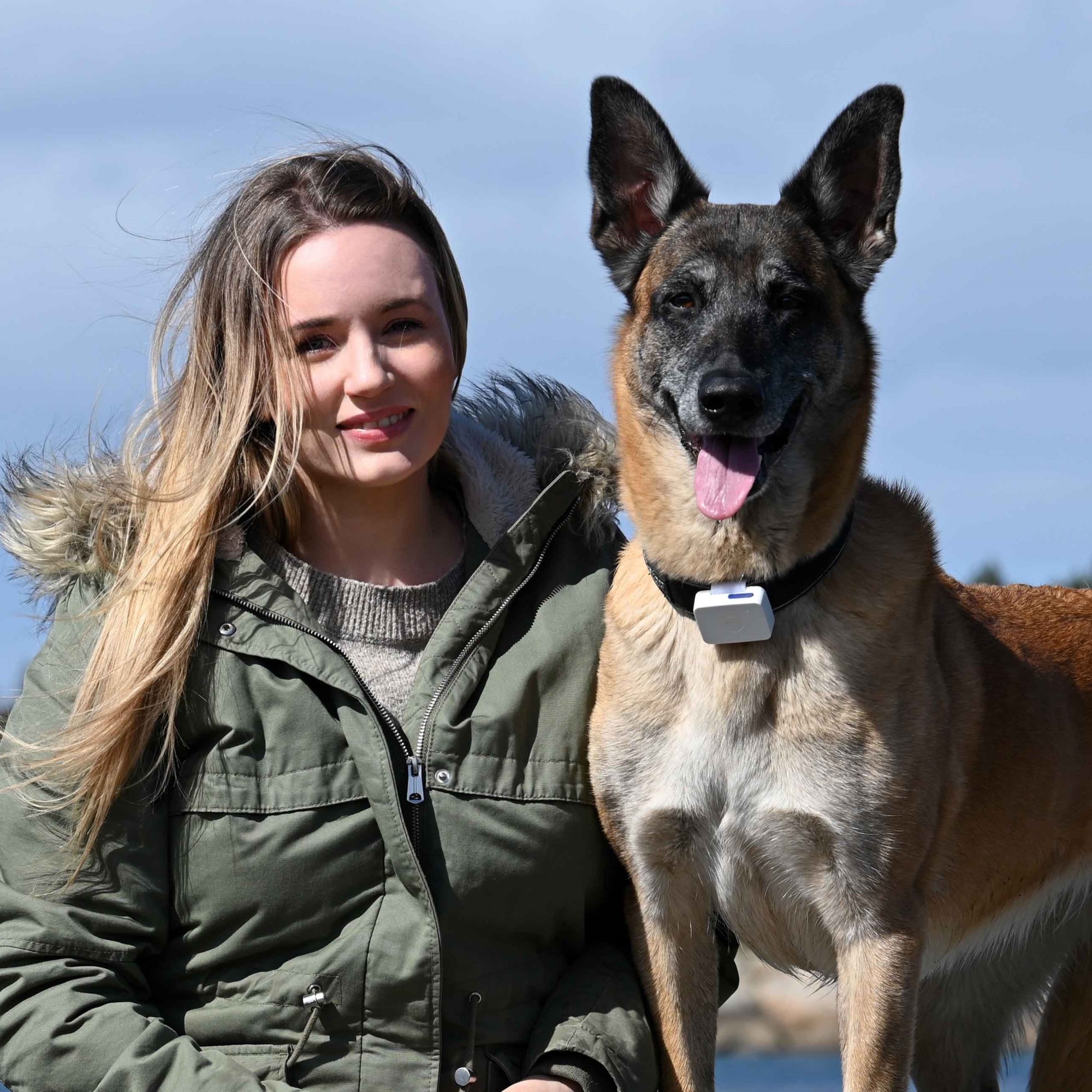 Lildog aktivitet og GPStracker hund