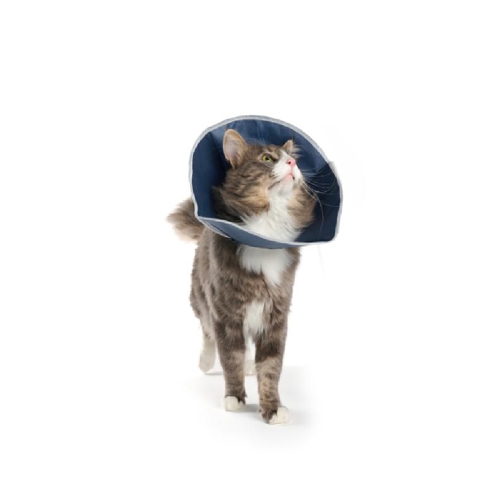 BUSTER Soft krage til katt og små hunder