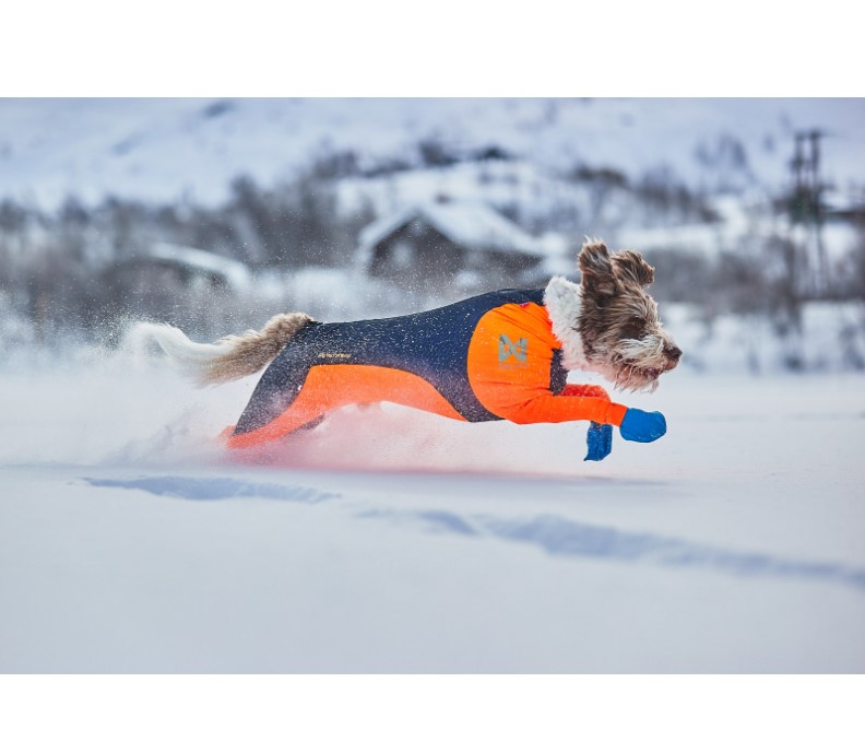 Non-Stop Dogwear Protector Snow - Snødrakt Heldress til hann hund