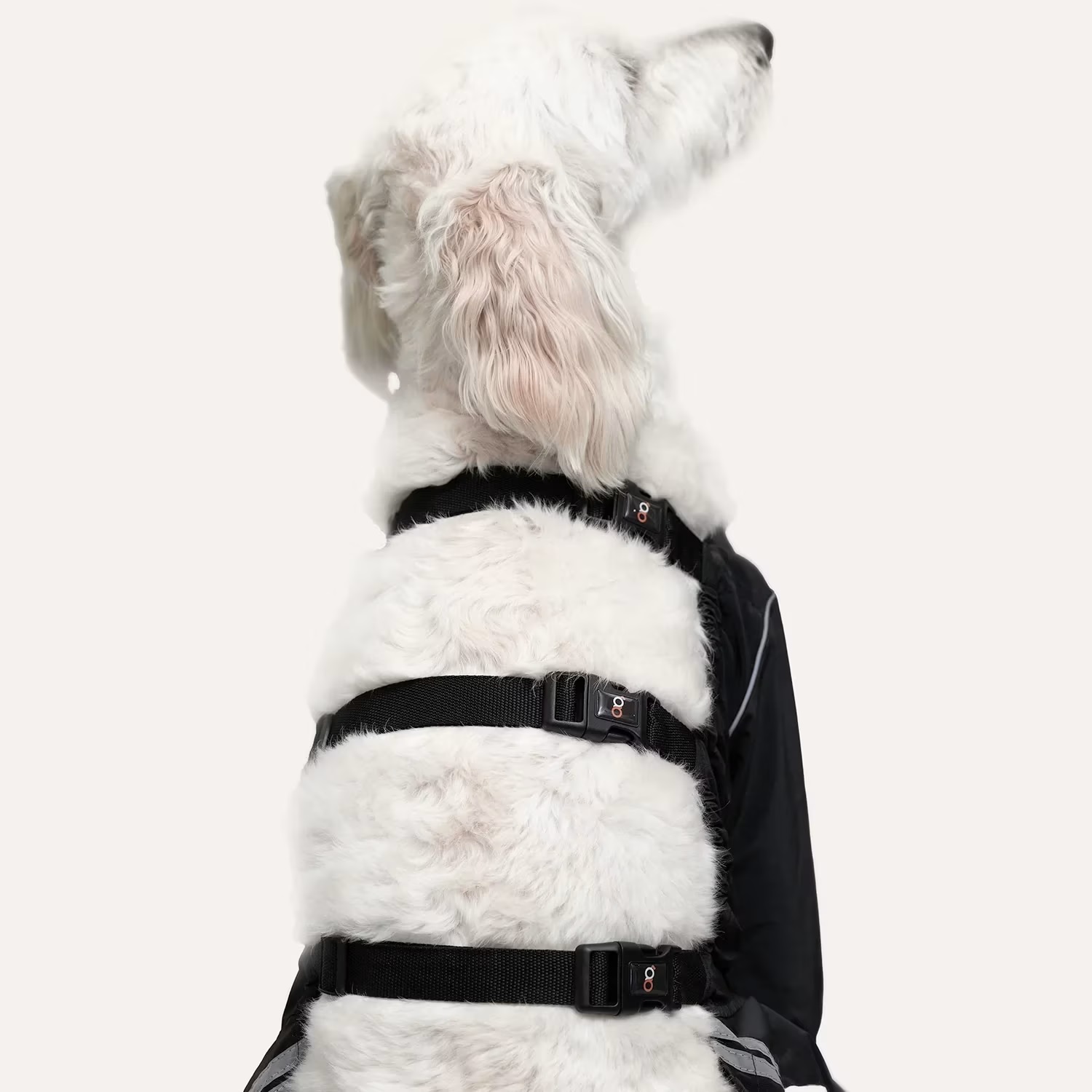 Goo-Eez Refleks Splash Hundebukse