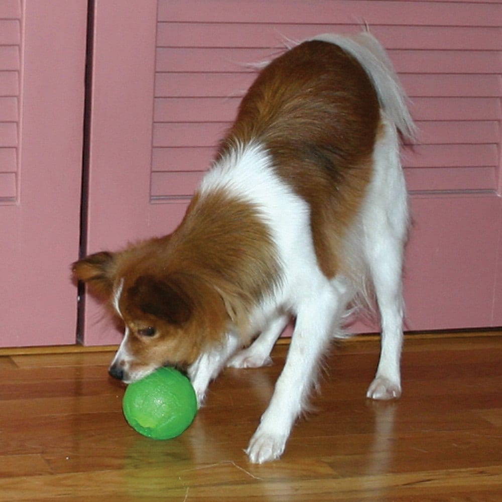 Starmark Funball Flyteleke - aktivitetsball